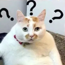 1656208747152155.png 1656208746357.png