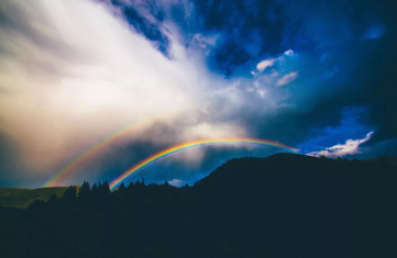 1656208879156579.png image.png